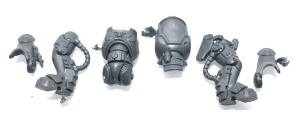 Deathwatch Kill Team Horde-Slayer/Bombard/Breacher Body