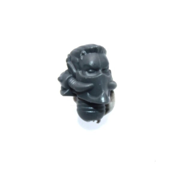 Fire Dragons Bare Head D
