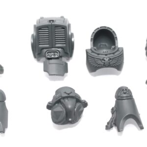 Primaris Assault Terminator Body C