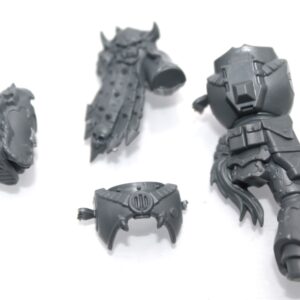 Chaos Space Marine Chosen Body E