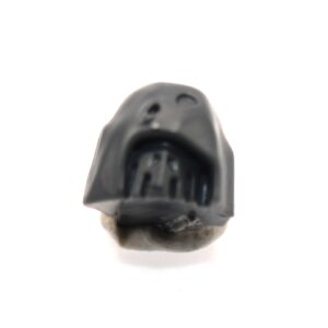 Deathshroud Body B Head 2