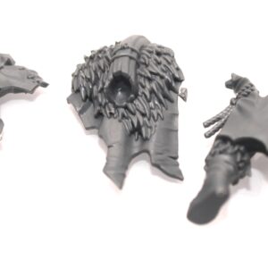 Chaos Marauders Standard Bearer Body