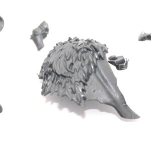 Chaos Marauders Body B