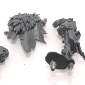 Chaos Marauders Body G