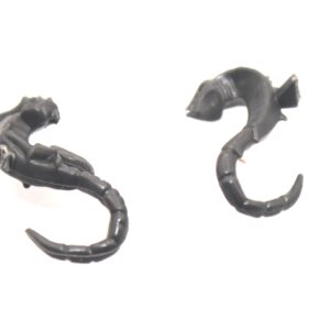 Kurnoth Hunters Snakes B