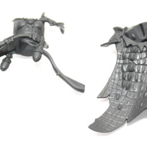 Aeldari Voidreavers Body C