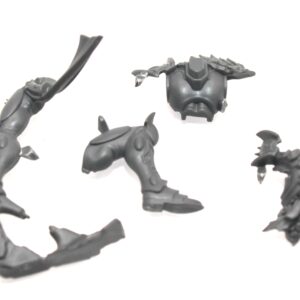 Corsair Skyreavers Body C