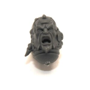 Wolf Scouts Rune Priest Head