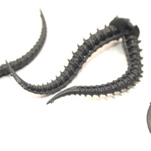 Drukhari Cronos Tail