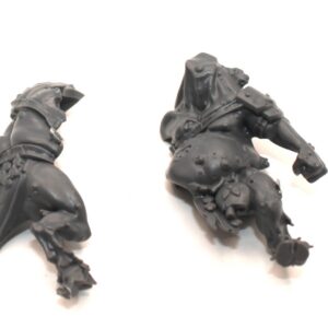 Pestigors 9 Body