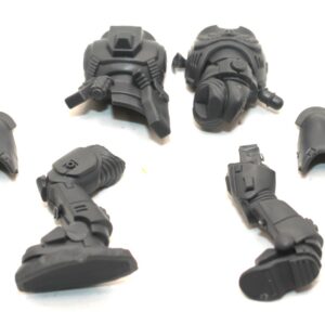 Space Marine Primaris Intercessors Body B